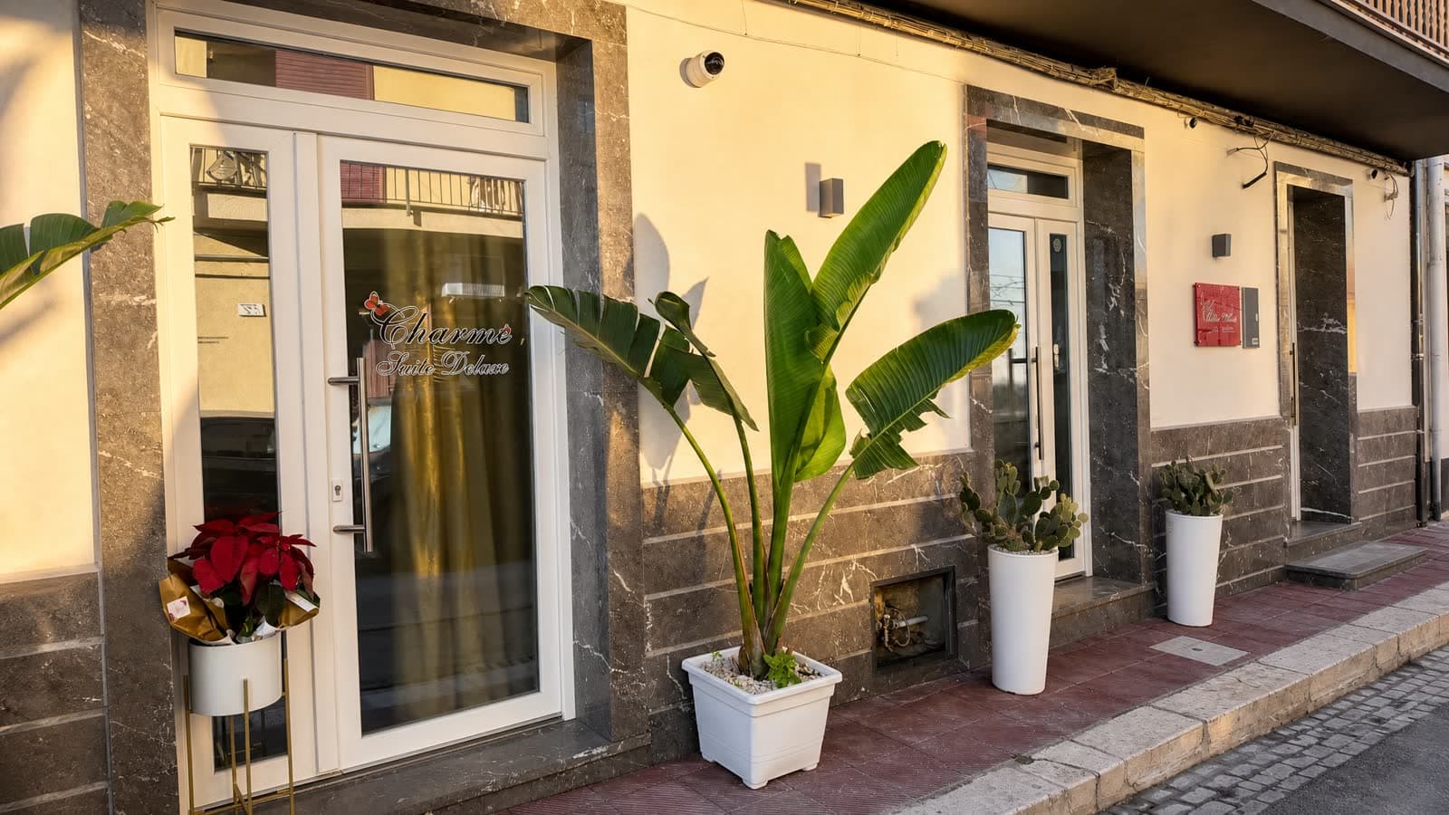 Suite Deluxe 6